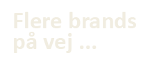 logo_04-white Flere brands er på vej - DTAILOR